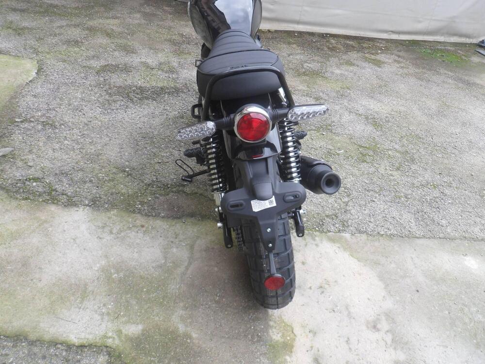 Royal Enfield Bear 650 (2025 - 26) (3)