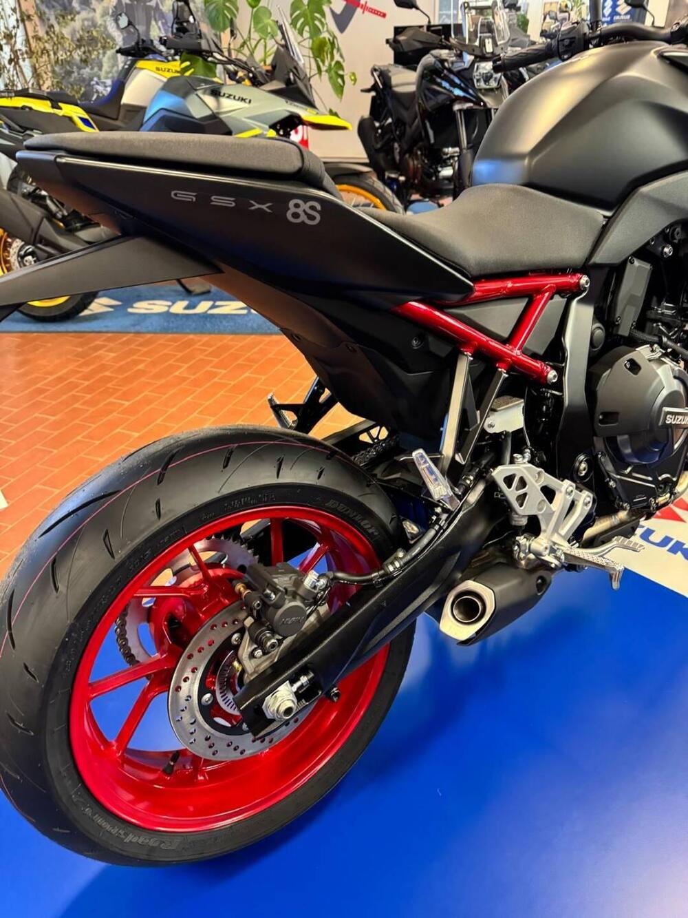 Suzuki GSX-8S (2023 - 24) (6)