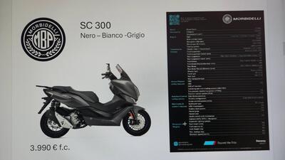Morbidelli SC300 (2024 - 25) nuova
