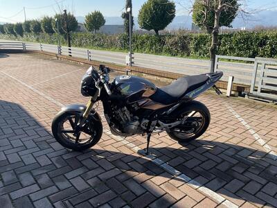 Honda Hornet 600 (2005 - 06) usata