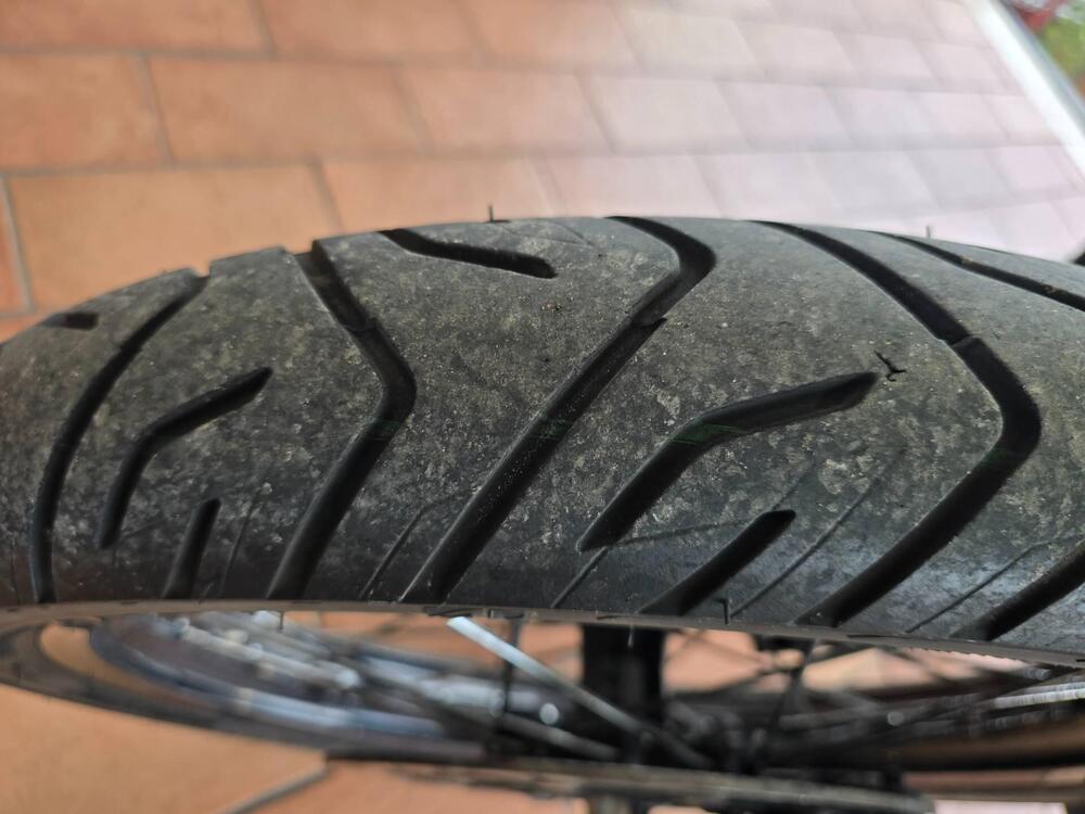 Triumph Tiger 800 XCx (2018 - 20) (11)