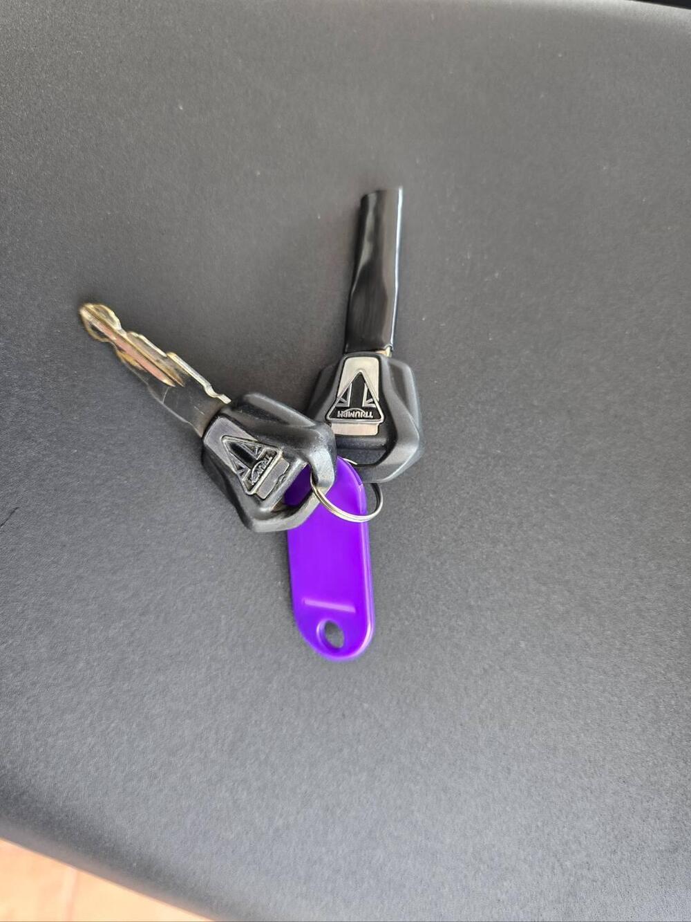 Triumph Tiger 800 XCx (2018 - 20) (13)