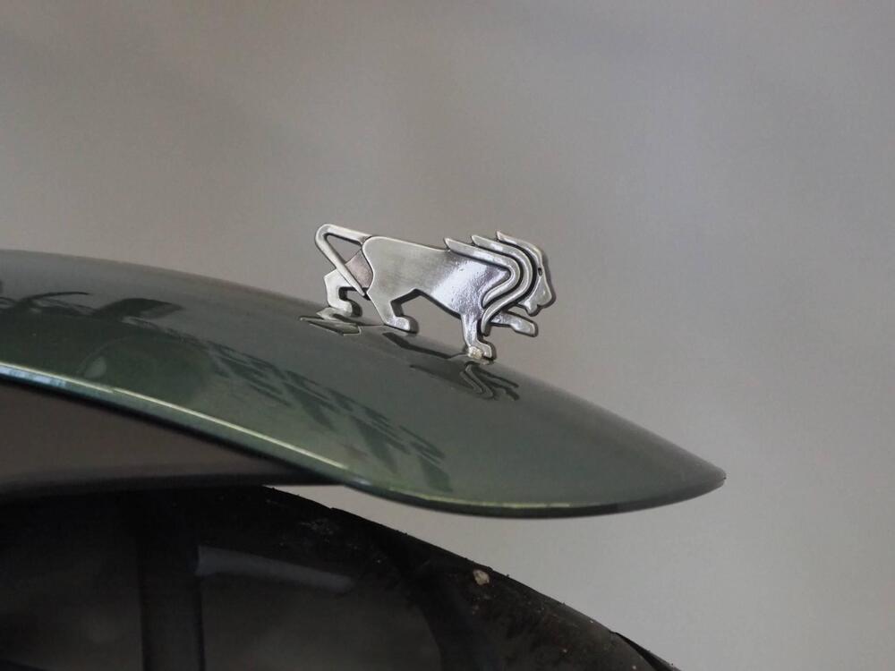 Benelli Leoncino 500 Trail (2021 - 25) (6)