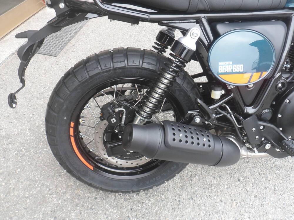 Royal Enfield Bear 650 (2025 - 26) (9)