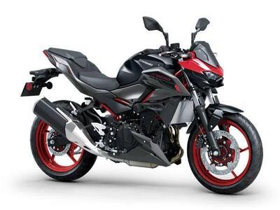 Kawasaki Z 500 SE (2024 - 26) nuova