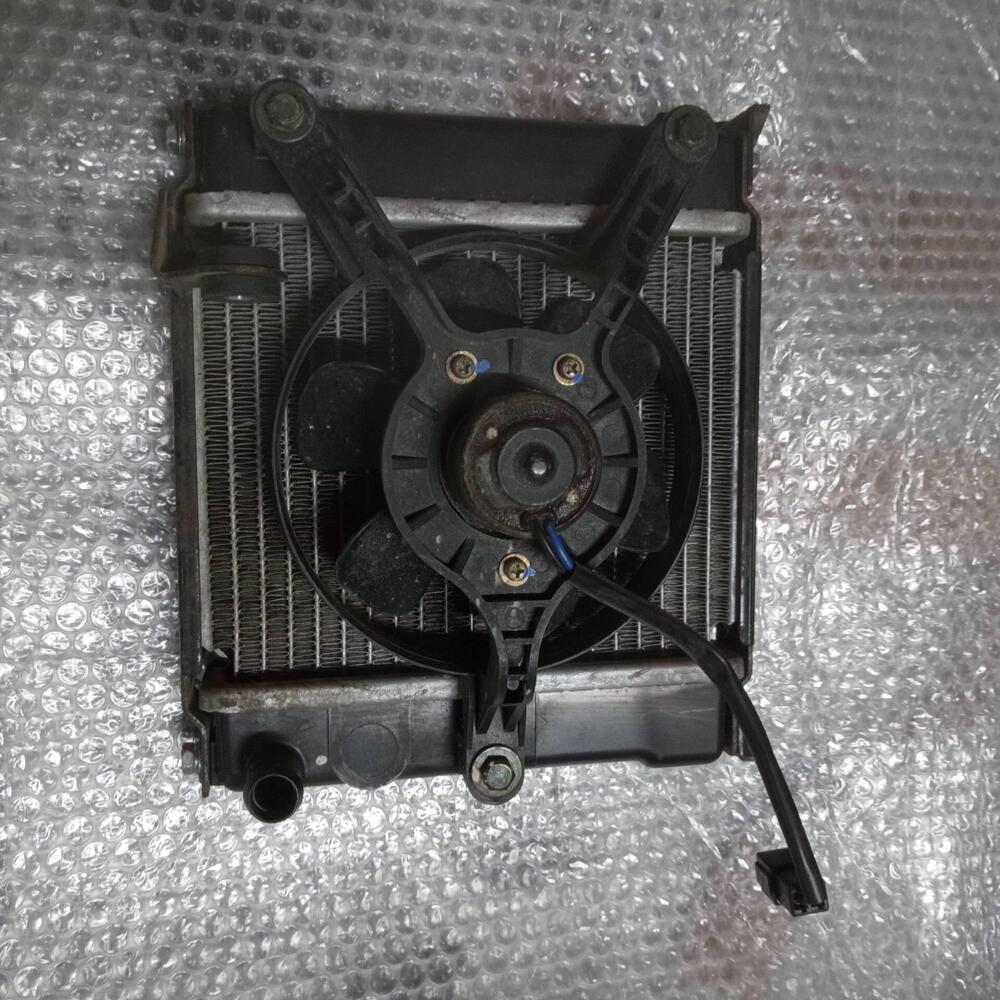 Radiatore Kymco Downtown 125