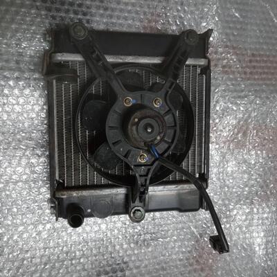 Radiatore Kymco Downtown 125