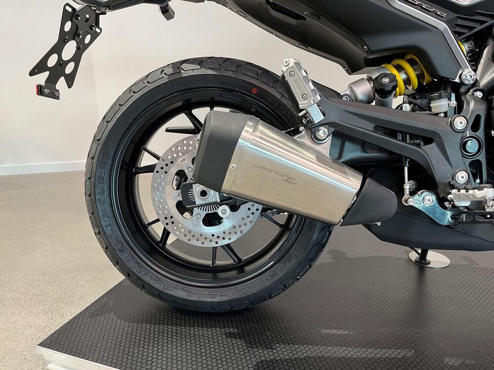 Benelli Leoncino 800 (2022 - 25) (4)