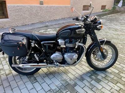 Triumph Bonneville T100 (2017 - 20) usata