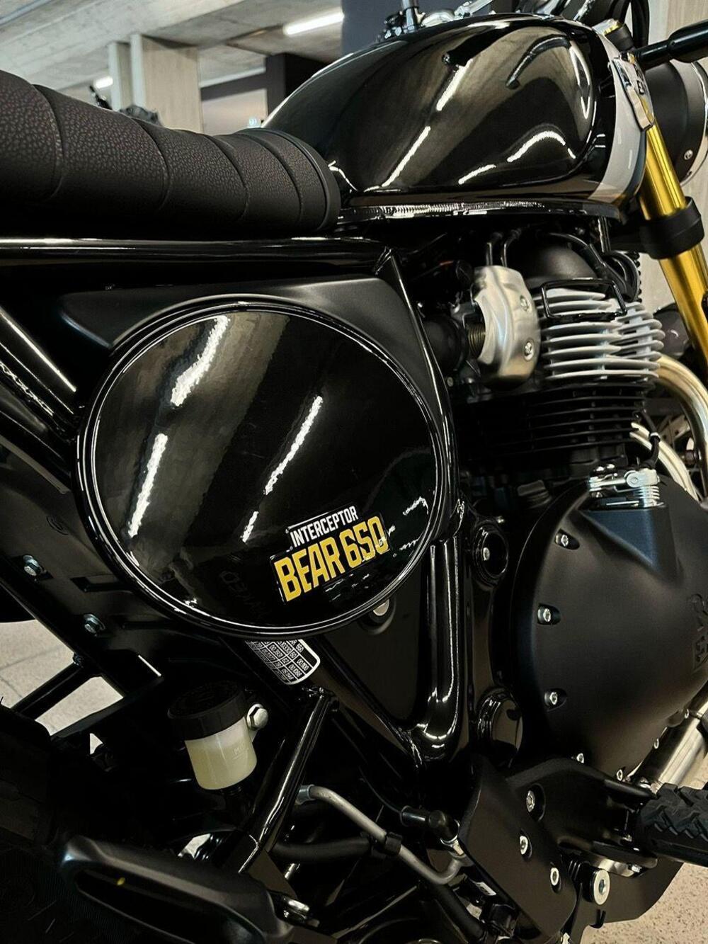 Royal Enfield Bear 650 (2025 - 26) (7)