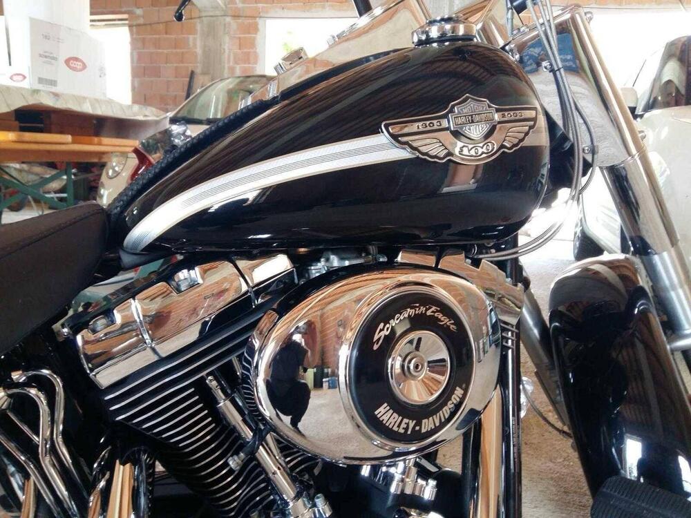 Harley-Davidson 1450 Fat Boy (1999 - 02) - FLSTF (8)