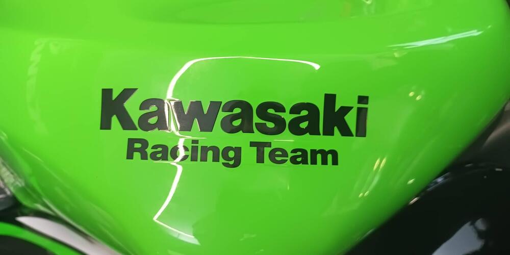 Kawasaki Ninja 636 ZX-6R (2024 - 26) (4)