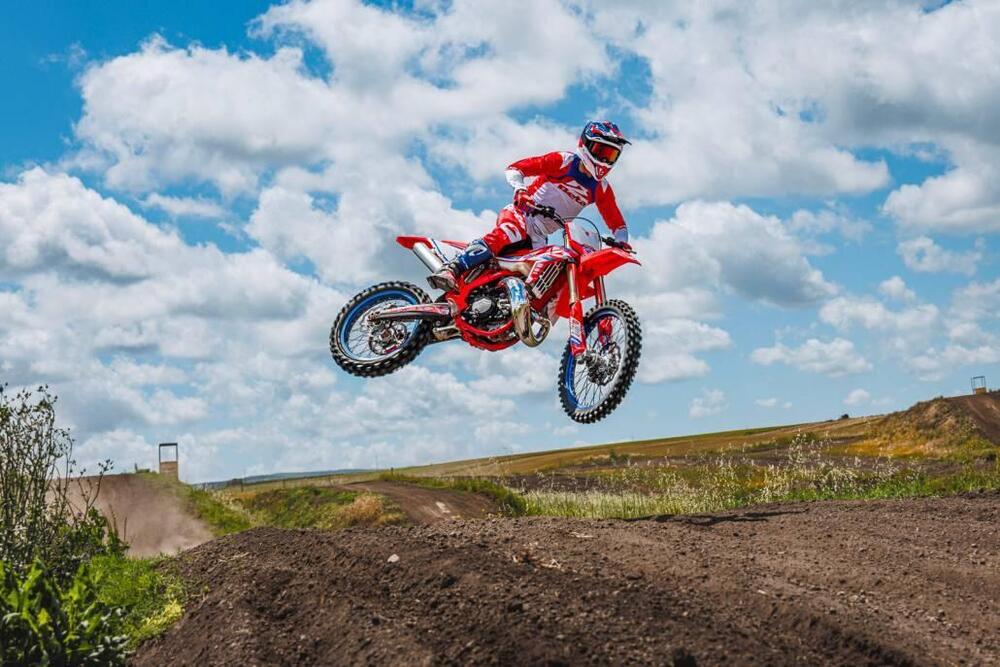 Betamotor RX 300 2T (2024 - 25) (4)