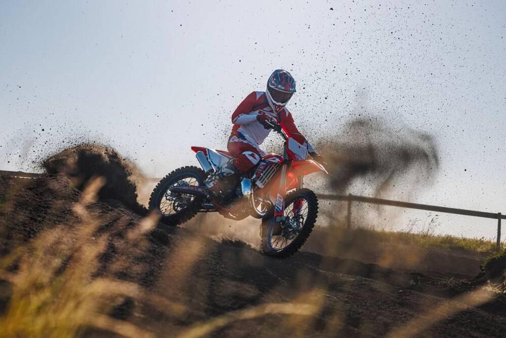 Betamotor RX 300 2T (2024 - 25) (10)