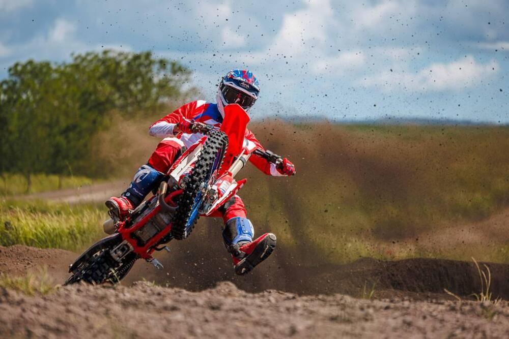 Betamotor RX 450 4T (2024 - 25) (8)