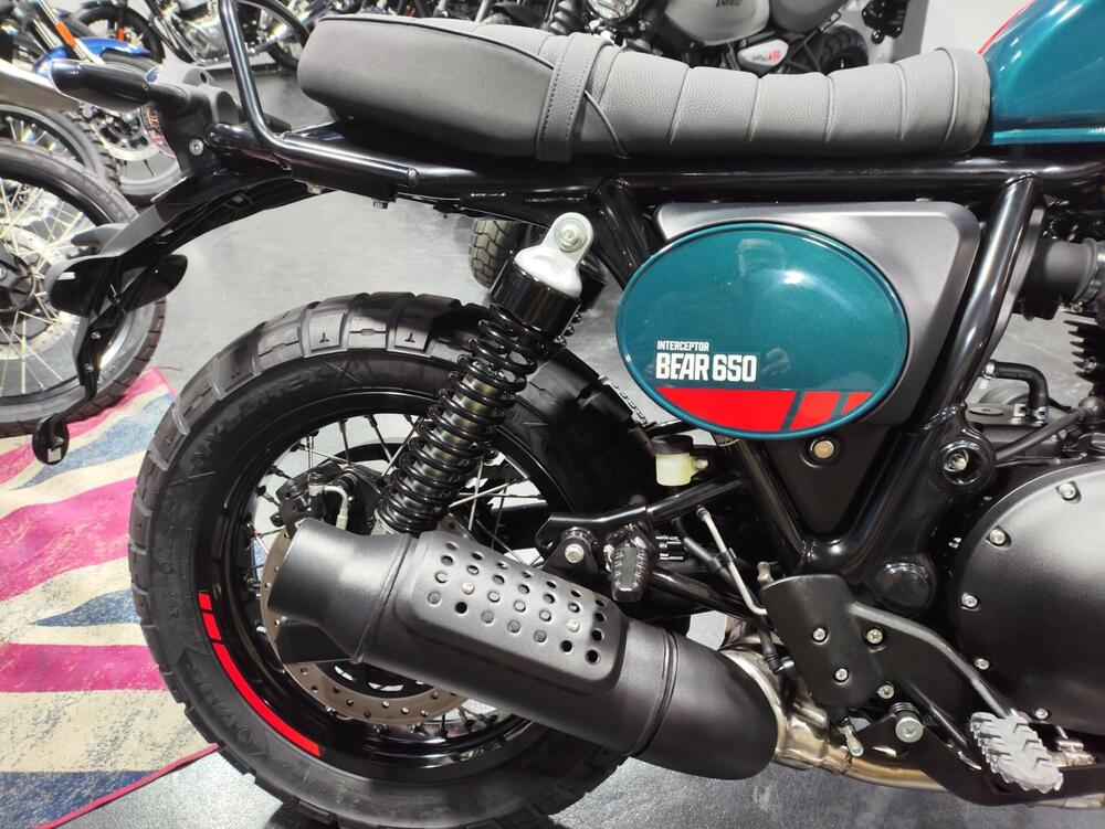 Royal Enfield Bear 650 (2025 - 26) (4)