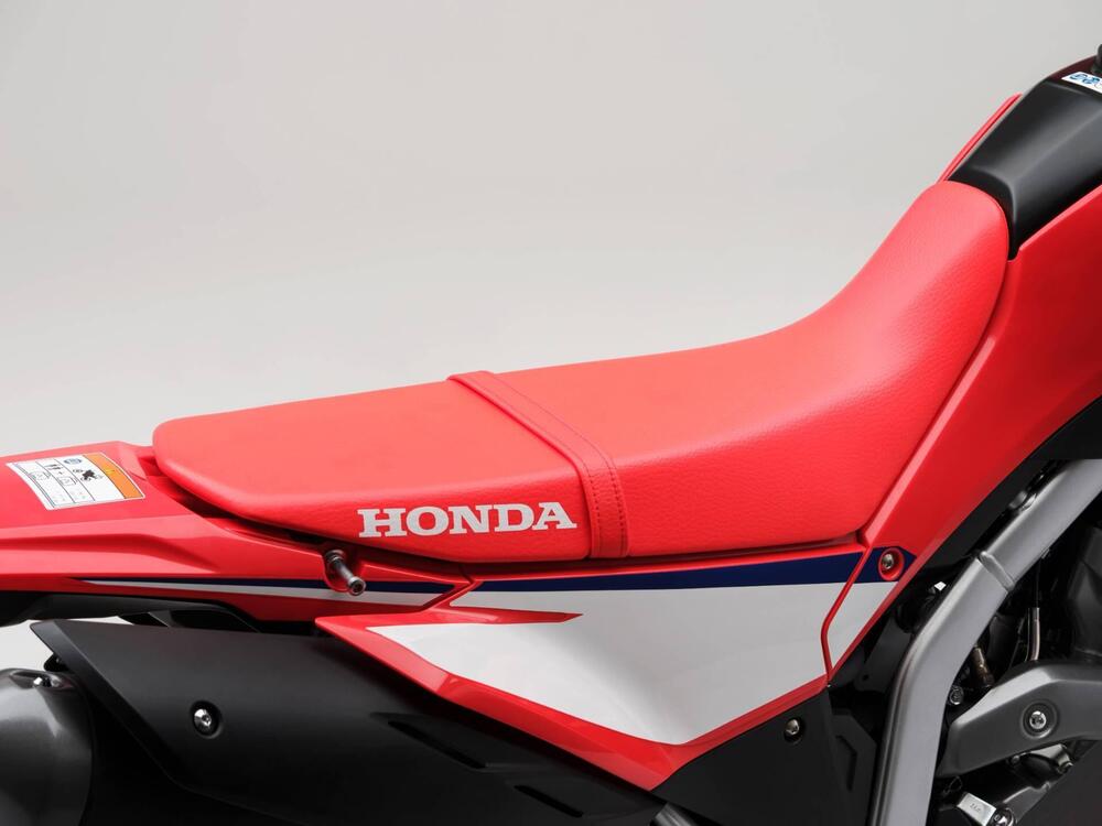 Honda CRF 300 L (2025) (11)