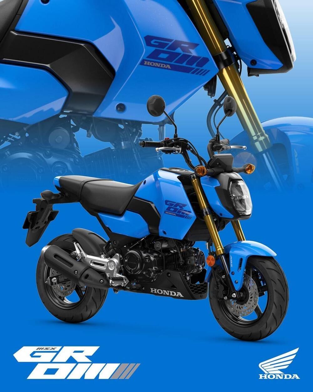 Honda MSX 125 Grom (2021 - 25) (7)