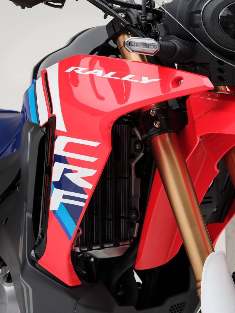 Honda CRF 300 Rally (2025 - 26) (8)