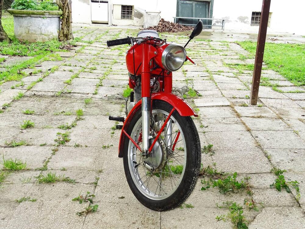 Benelli LEONCINO  (4)