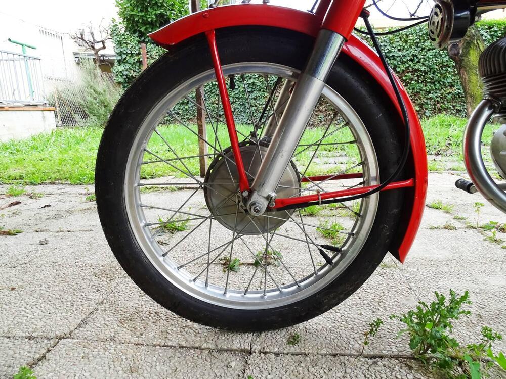 Benelli LEONCINO  (11)