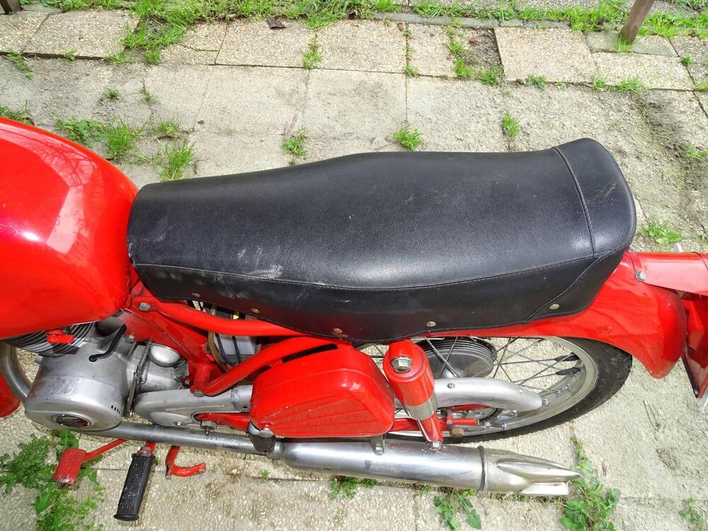 Benelli LEONCINO  (16)