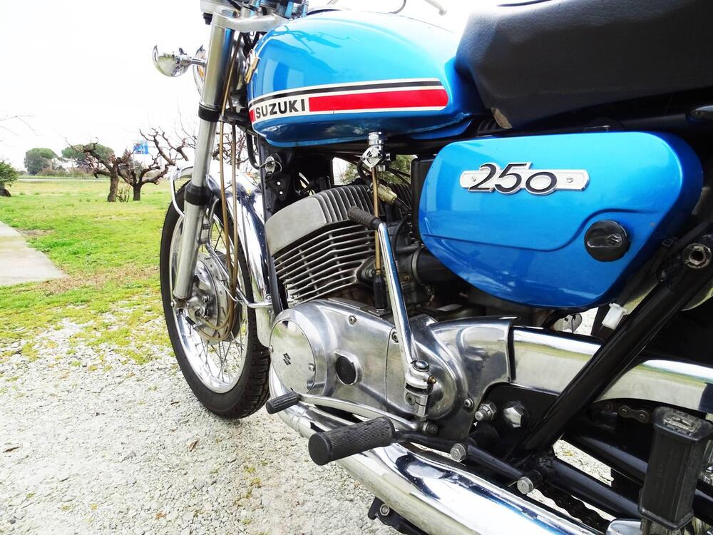 Suzuki T 250 HUSTLER (10)