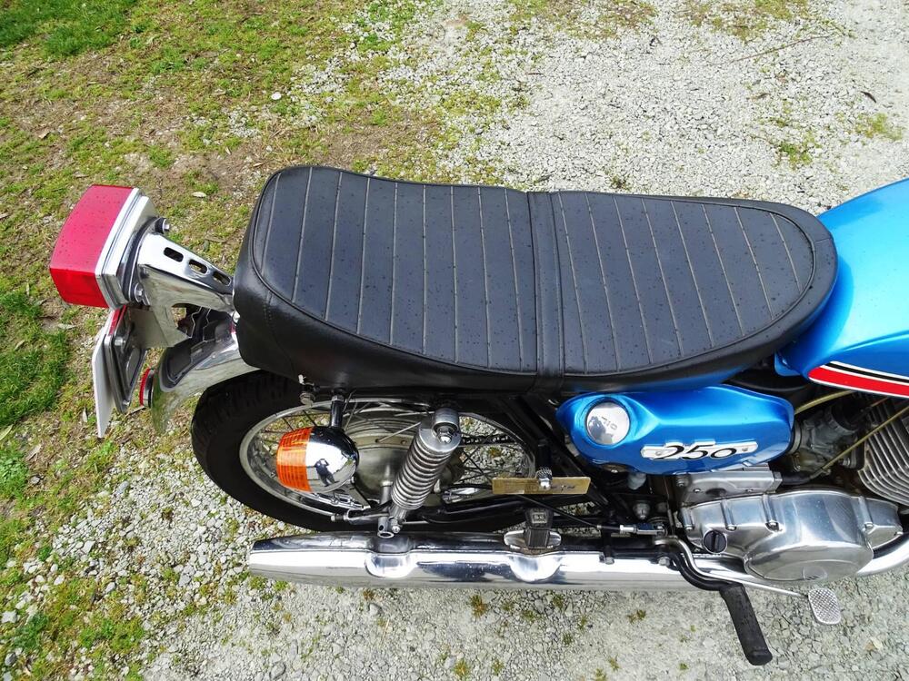 Suzuki T 250 HUSTLER (19)