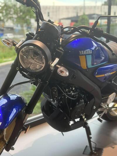 Yamaha XSR 125 (2021 - 24) usata