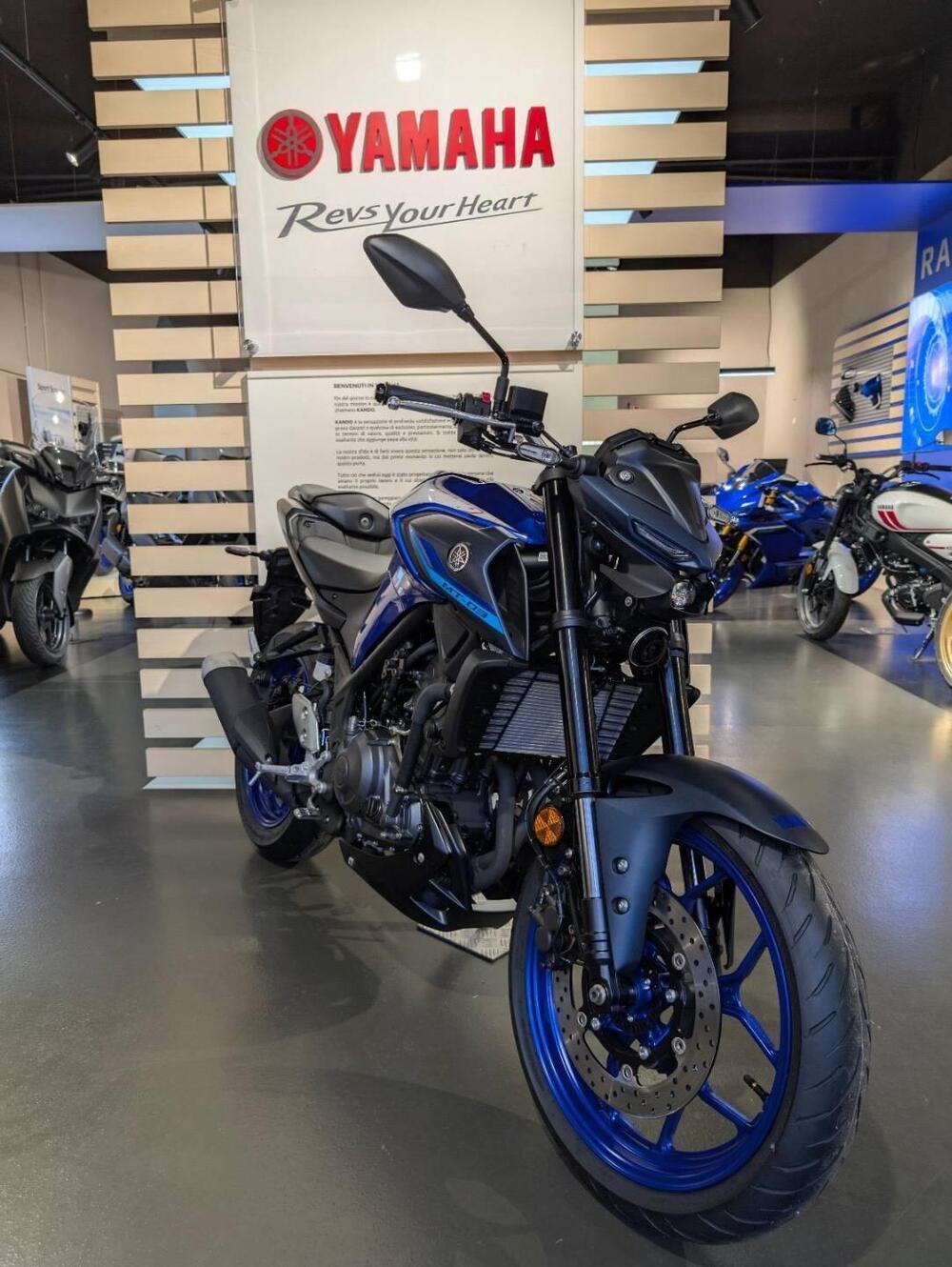 Yamaha MT-03 (2022 - 24) (3)