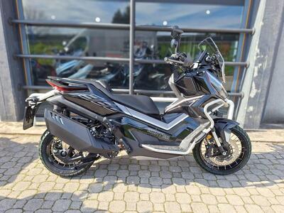 Zontes ZT368-G (2024 - 25) nuova