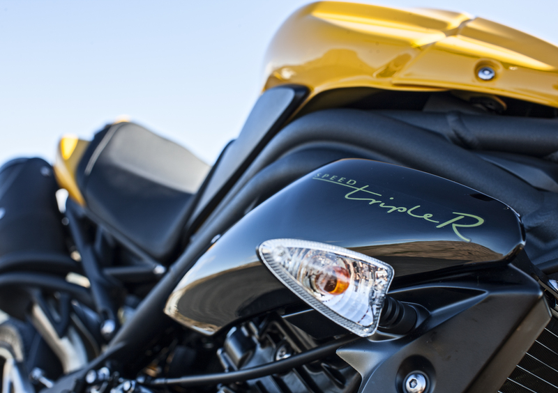 Triumph Speed 94 Speed 94 R (2015 - 16) (7)