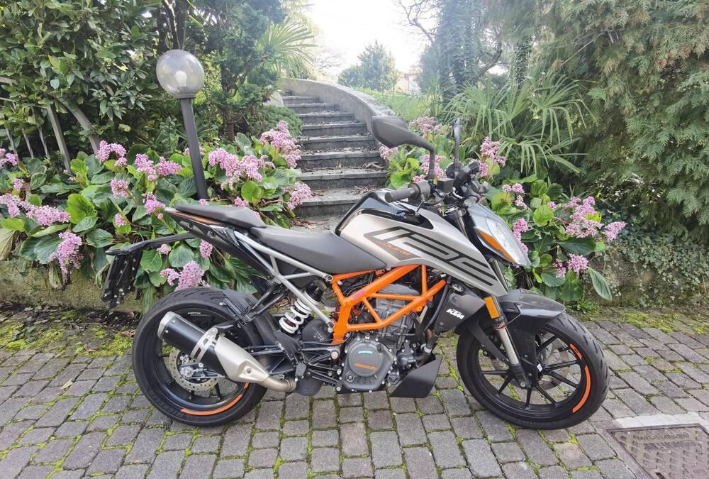 KTM 125 Duke (2021 - 23) (2)