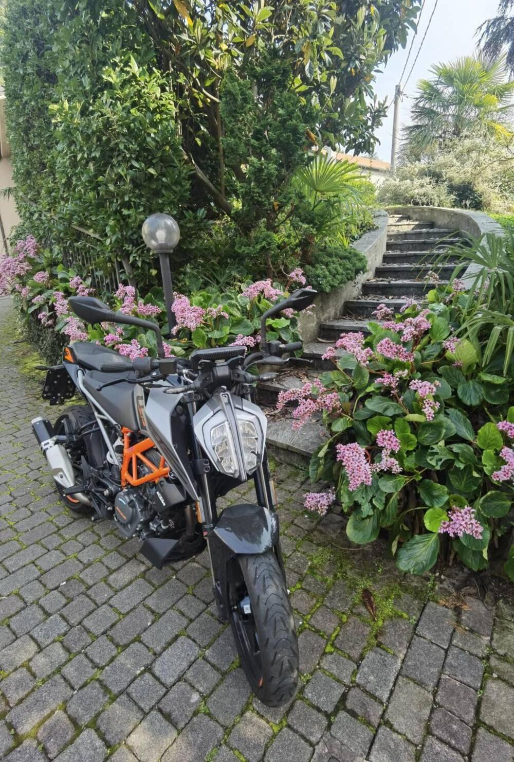 KTM 125 Duke (2021 - 23) (4)