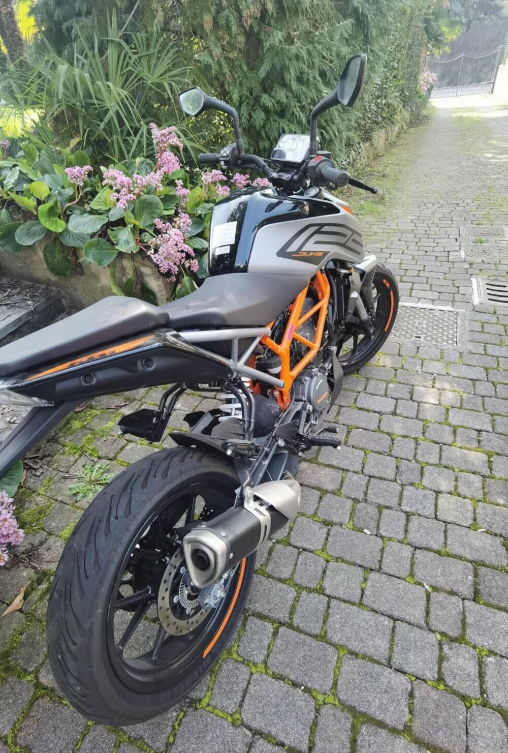 KTM 125 Duke (2021 - 23) (5)