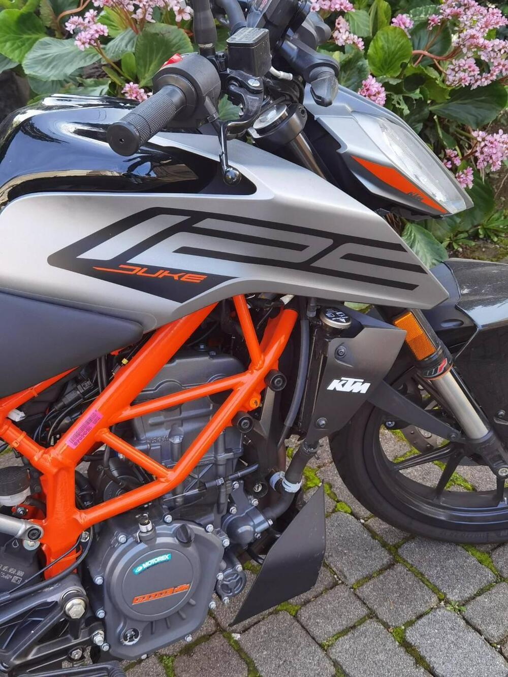 KTM 125 Duke (2021 - 23) (6)