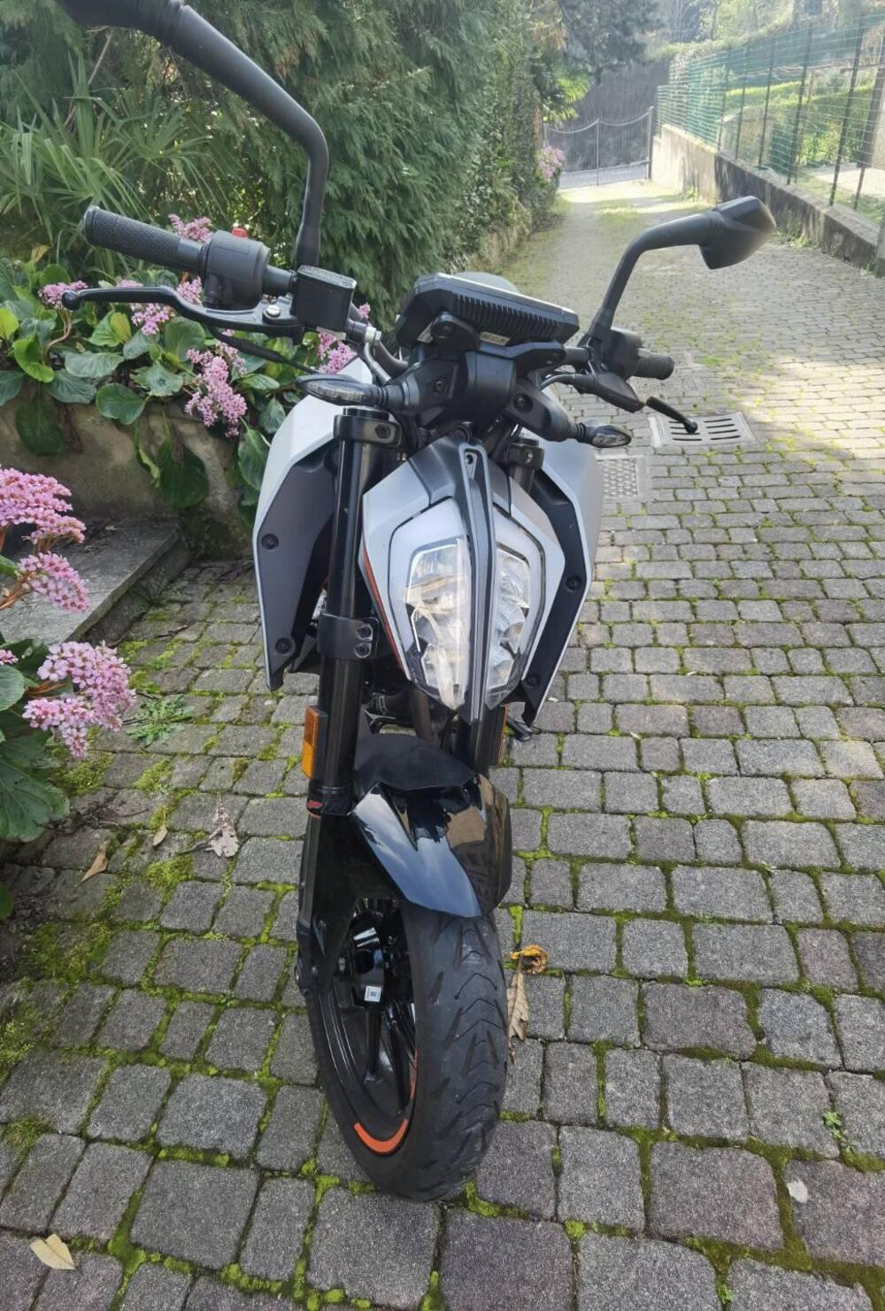 KTM 125 Duke (2021 - 23) (11)