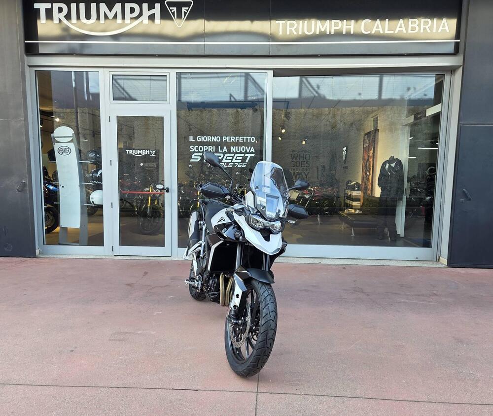 Triumph Tiger 900 GT Pro (2024 - 25) (9)