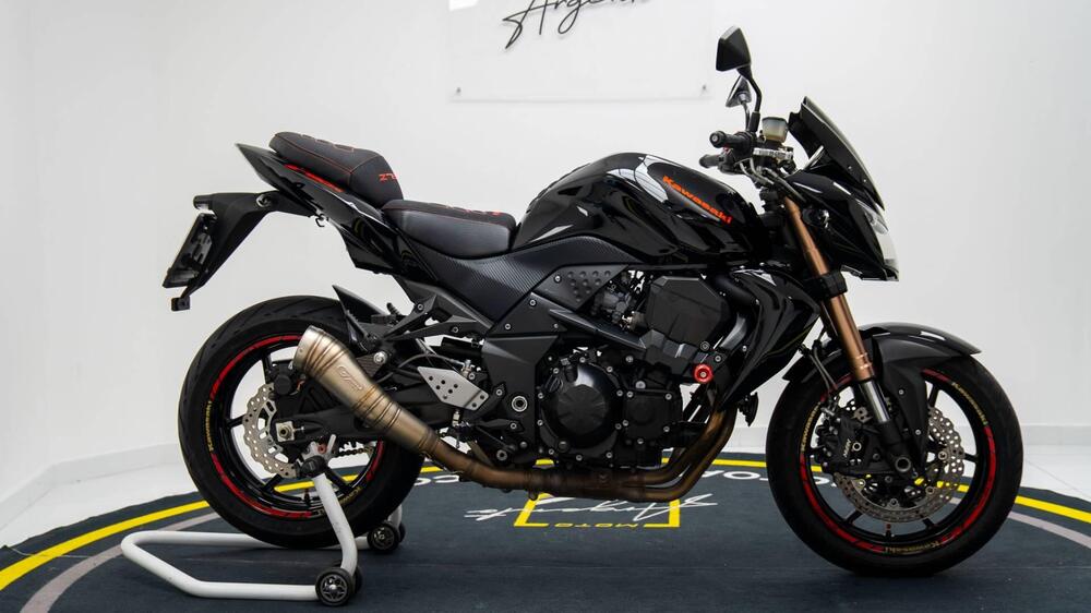 Kawasaki Z 750 R (2011 - 14) (8)