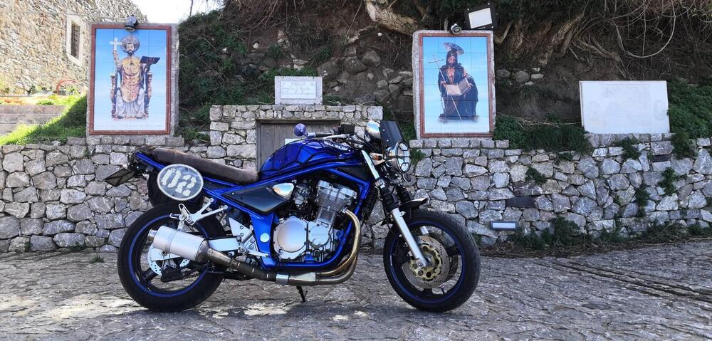 Suzuki GSF 600 Bandit (2000 - 05) (2)