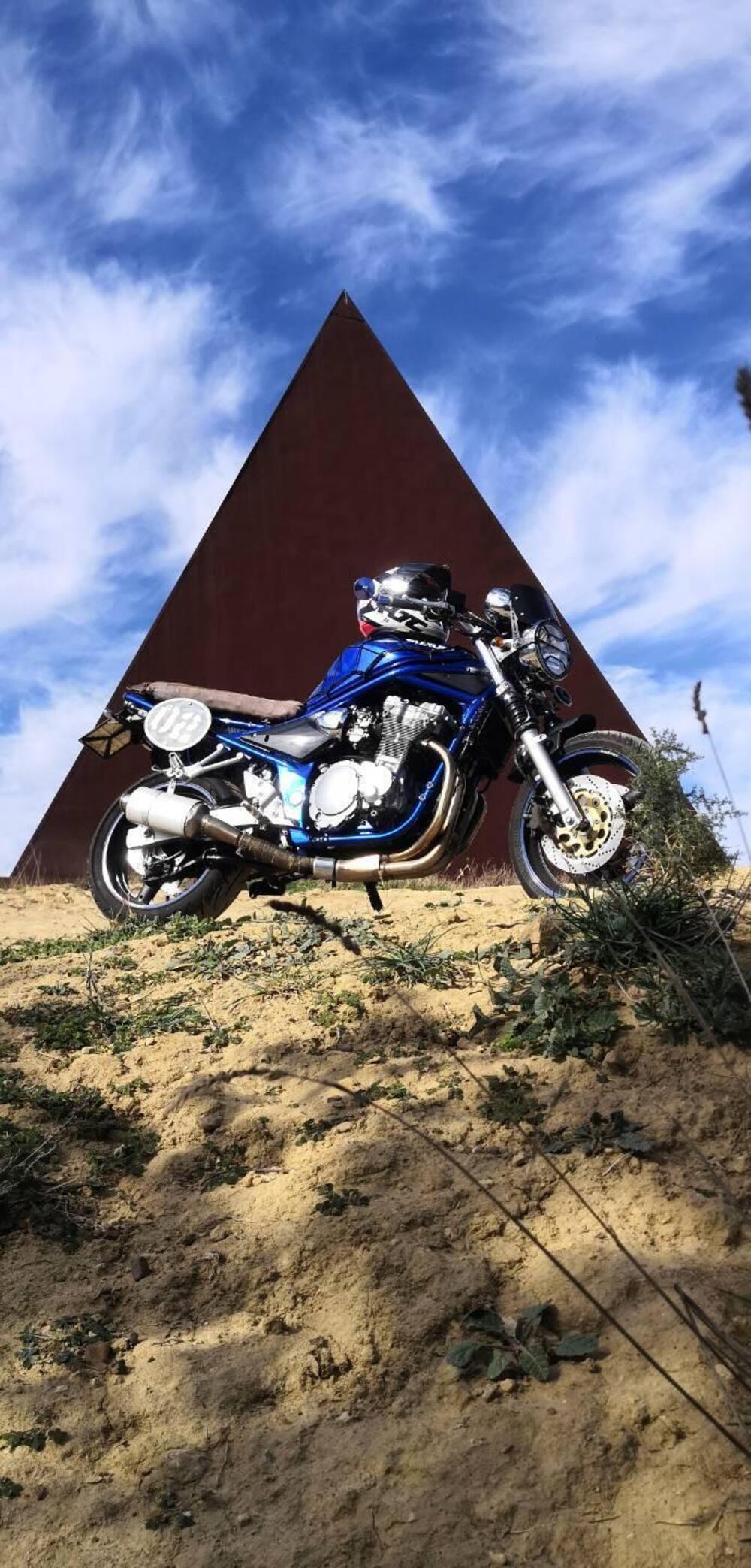 Suzuki GSF 600 Bandit (2000 - 05) (4)