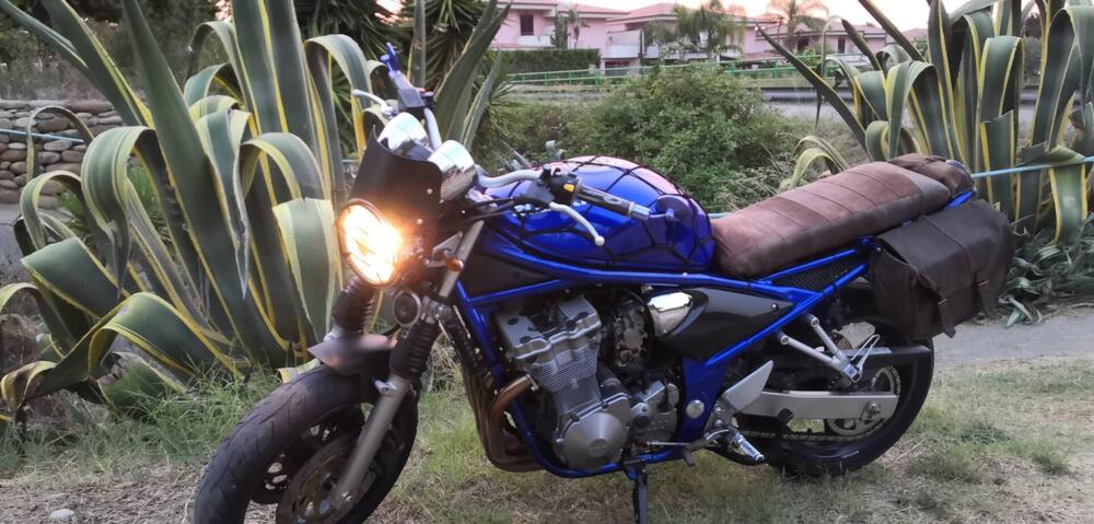 Suzuki GSF 600 Bandit (2000 - 05) (6)