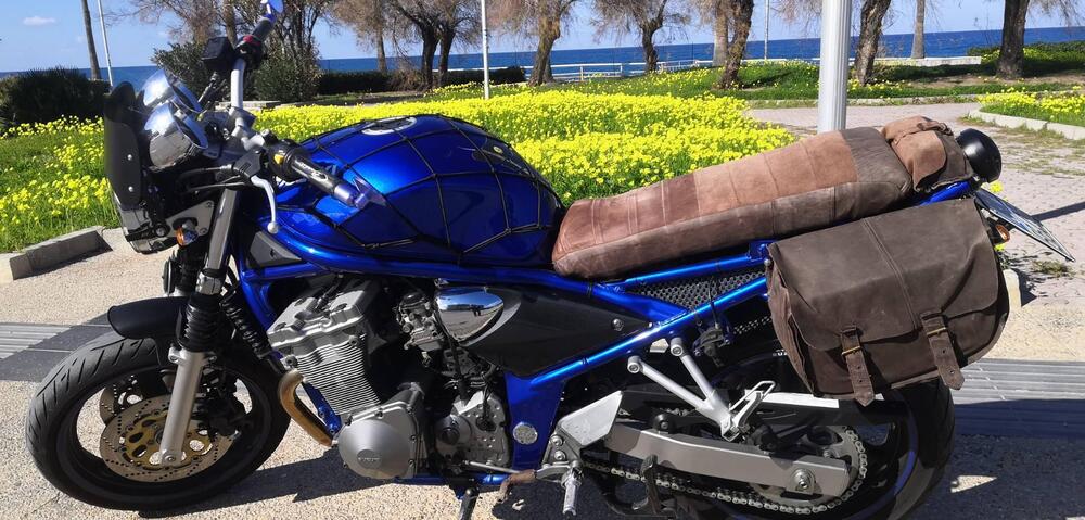 Suzuki GSF 600 Bandit (2000 - 05) (9)
