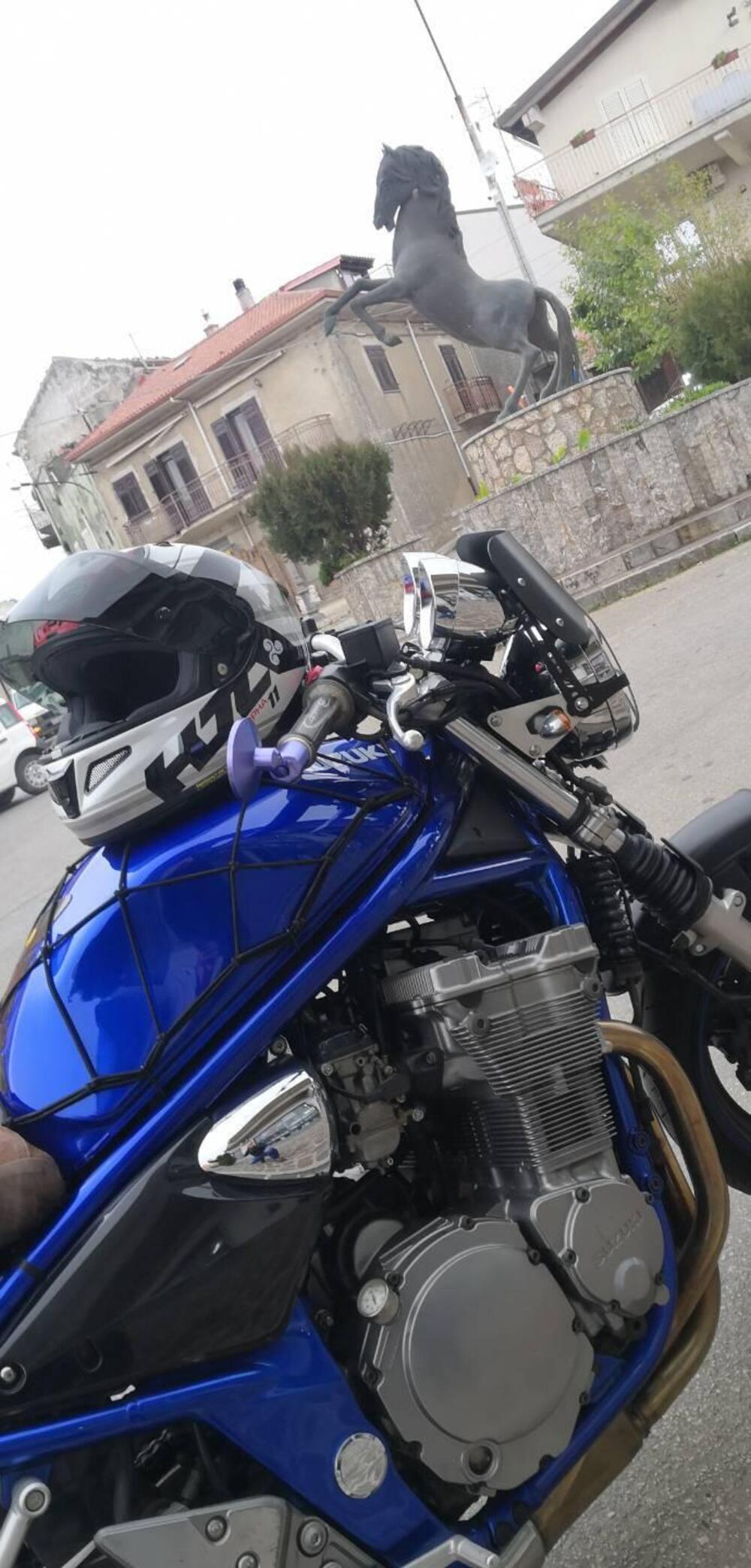 Suzuki GSF 600 Bandit (2000 - 05) (10)