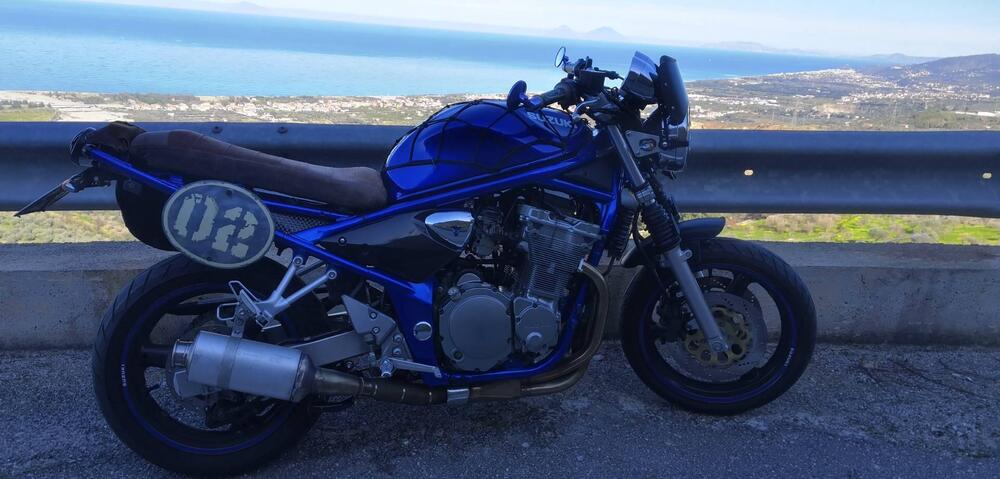Suzuki GSF 600 Bandit (2000 - 05) (11)