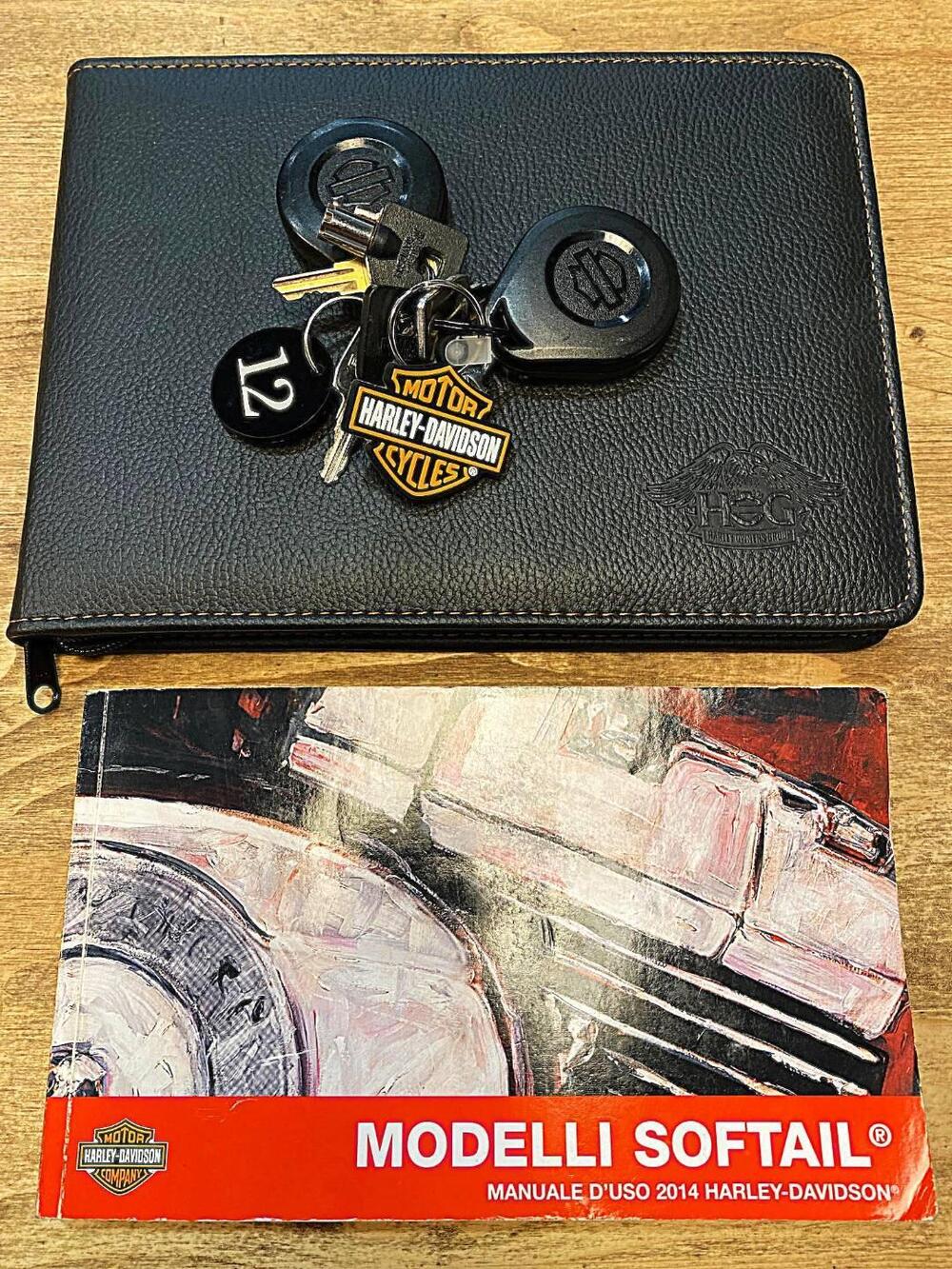 Harley-Davidson 1690 Deluxe ABS (2011 - 16) - FLSTN (20)