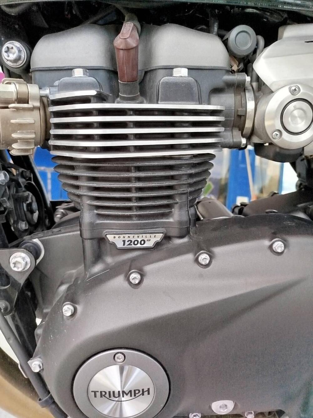 Triumph Speed Twin 1200 (2019 - 20) (8)