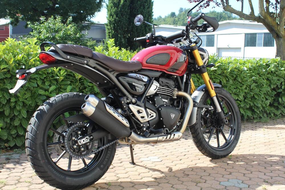 Triumph Scrambler 400 X (2024 - 25) (5)