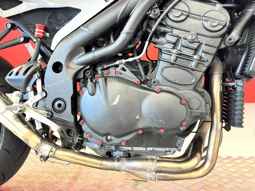 Triumph Daytona 955 I (1999 - 01) (11)