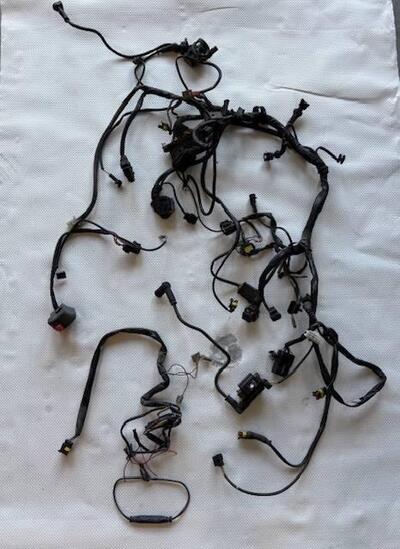 CABLAGGIO ELETTRICO DUCATI MONSTER S2R 800